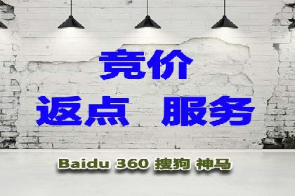 sem代运营公司成功案例：从零到一的营销策略构建